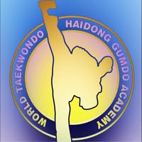 Choi's Traditional Taekwondo - Haidong Gumdo Academy logo